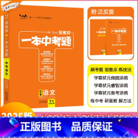 [一本中考题]语文 九年级/初中三年级 [正版]2025版星一本中考题中考语文初一初二初三中考总复习语文专项训练一本涂书