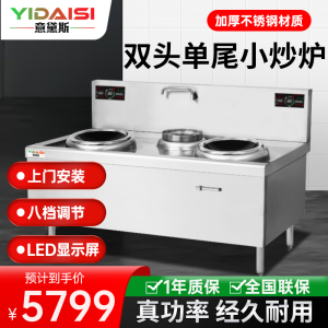 意黛斯(YIDAISI)商用电磁大锅灶 食堂厨房大功率电磁小炒炉电磁灶YDSC-15XC2-4090双头单尾小炒15kW