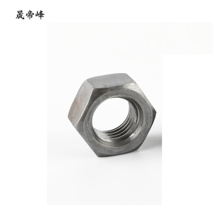 晟帝峰 螺母 M12 个