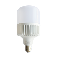 格瑞捷LED灯泡 30W (柱形)Φ90-30W E27 AC165-265V 白 只