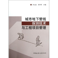 音像城市地下管线探测技术与工程项目管理洪立波 编