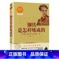 [正版]书店 钢铁是怎样炼成的 八年级下册 尼奥斯特洛夫斯基著 初中语文配套阅读新版俄语翻译家周露经典全译本 13-15