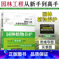 [正版]园林工程从新手到高手——园林植物养护园林绿化管理书籍 园林花卉栽培种植树木修剪病虫害防治 园林工程现场施工