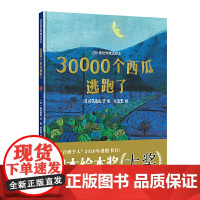 30000个西瓜逃跑了(百班千人暑假书目)硬壳精装版3-6岁幼儿图画书获日本绘本奖大奖超级想象力激发儿童思维绘本