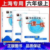 6年级上 语数英(增强版)[3册] 六年级 [正版]华东师大版一课一练六年级上下册语文数学英语普通版增强版6年级上海沪教