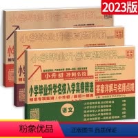 小升初❤一套备齐!语数英3本-87套真题 小学升初中 [正版]2024小升初真题详解语文数学英语 小学升初中入学真卷精选