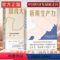 [正版]全2册 新质生产力 中国经济未来增长极+国内大循环 中国经济发展新格局 2024年读懂中国经济全新读本 中国经