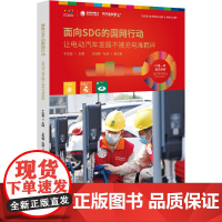 面向SDG的国网行动——让电动汽车发展不被充电难羁绊