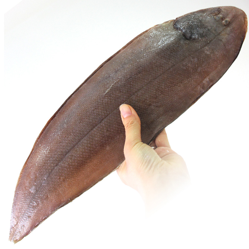 [四海生鲜]东山岛渔船现捕龙利鱼舌头鱼牛舌鱼新鲜海鲜水产 500g