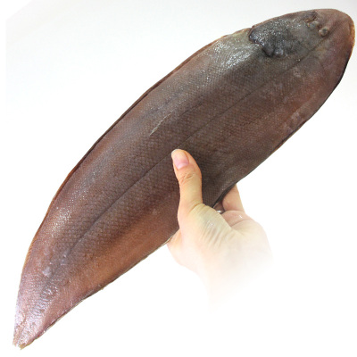 [四海生鲜]东山岛渔船现捕龙利鱼舌头鱼牛舌鱼新鲜海鲜水产 500g