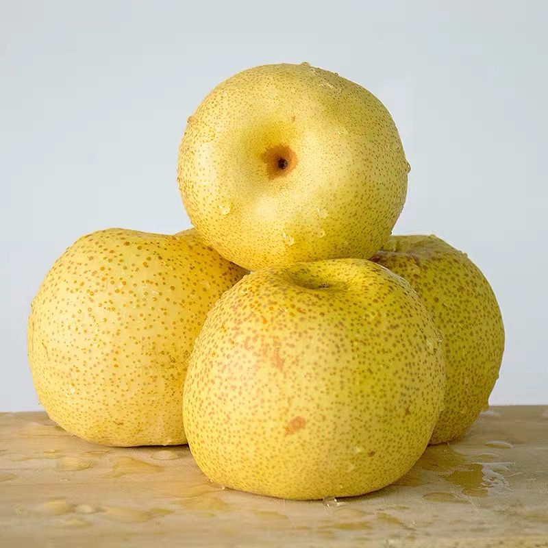 砀山酥梨新鲜水果梨子非雪梨丰水梨 净重5斤-精选大果