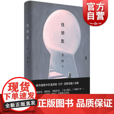 找钥匙 文珍中国现当代文学作品女性爱情中篇小说集 上海人民出版社