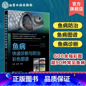 [正版]鱼病快速诊断与防治彩色图谱 袁圣 常见鱼病防控基本操作方法和注意事项 鱼病标准化防控 水产养殖技术人员水产养殖
