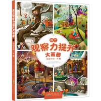 音像波兰观察力提升大画册 仙境中的一年 1