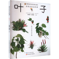 音像我身边的自然课 叶子刘宏涛,张莉俊