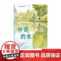 神奇的水精装硬壳绘本诗意的语言搭配春夏秋冬四季的美景生动形象地讲解关于水循环的科普知识适合4岁5岁6岁7岁阅读麦克米伦正