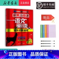 语文 六年级下 [正版] 2024新版 新黑马阅读 语文阅读同步拓展训练 六年级 B版