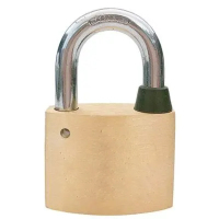 中电鼎润 ZD-20N 20mm*20mm 弧叶片铜锁挂锁 (计价单位:个)金色