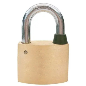 中电鼎润 ZD-20N 20mm*20mm 弧叶片铜锁挂锁 (计价单位:个)金色