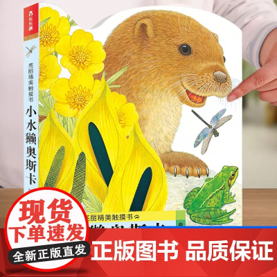 正版童书 亮丽精美触摸书 小水獭奥斯卡 幼儿早教读本 真实手感 手脑互动 大面积仿真材质还原真实触感 安全材质 不脱落
