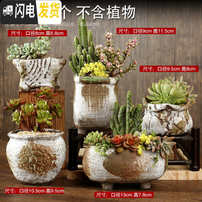 三维工匠多肉花盆陶瓷粗陶透气复古老桩肉肉创意小盆批发 套装七十五 中等花盆容器