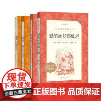 六年级下册必读共4册尼尔斯骑鹅旅行记汤姆索亚历险记 爱丽丝漫游奇境记正版书鲁滨逊漂流记小学生版五年级小学生课外阅读书籍
