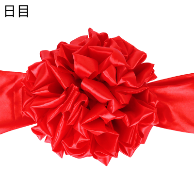 日目 红绣球红绣花 直径60cm 个