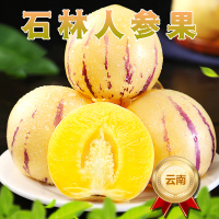 [西沛生鲜]云南特产 石林人参果 净重3斤 果王 单果110g+ 熟果 香甜可口 新鲜应季水果 西沛