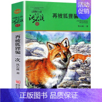 再被狐狸骗一次 [正版]狼王梦沈石溪动物小说系列品藏书系后一头战象8-10-12-15周岁儿童文学三四五六年级中小学生课