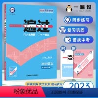 语文 九年级下 [正版]2023版 初中一遍过九年级下册语文 人教版 初三九年级下册语文书同步训练复习资料 一遍过九年级