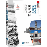 音像中国历史文化名城·河北高阳中国民间文艺家协会组织编写