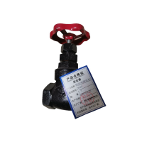 晟宏德 铸铁闸阀 丝扣 DN25 个