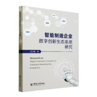 音像智能制造企业数字创新生态系统研究段文鹏
