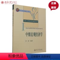 [正版]中级宏观经济学 张延 北京大学出版社 9787301100240