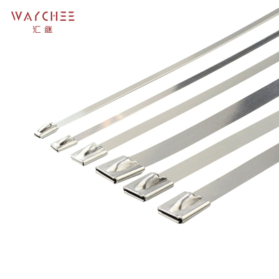 汇继 不锈钢扎带 4.6*450mm/个