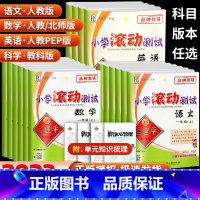 [通城学典]语文默写能手 四年级上 [正版]孟建平小学滚动测试一年级二年级三年级四年级五年级六年级上册下册语文数学英语科