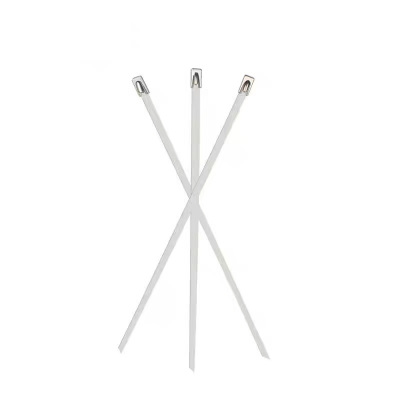 浪伍 304不锈钢自锁扎带 12*800mm/根