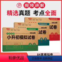 语数英 小学升初中 [正版]小升初真题卷必刷题语文人教版小学毕业升学总复习资料专项练习册名校真题卷模拟数学英语试卷测试卷