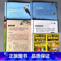全4册-送给孩子的科普探索 [正版]小学生课外阅读全套思维游戏科探索普百科全书动物植物恐龙猜字谜大全看图猜成语书中华成语