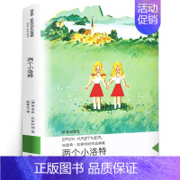 两个小洛特 [正版]讲给孩子的百年梦想:书画家的故事 四年级 祖庆说百班千人暑假读物 小学生课外书阅读书籍 海天出版社K