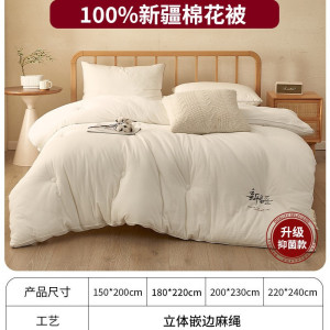里外全棉100新疆棉花被子单人纯棉春秋被芯冬被棉被冬季加厚棉絮