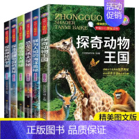 (探奇动物王国全6册)中国少儿探秘百科 [正版]365天天小问号宇宙和地球全套6册注音版儿童科普百科动物神秘的人体神奇科