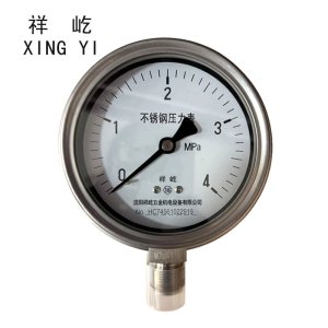 祥屹+不锈钢耐温压力表检测定制型+Y100BF+块
