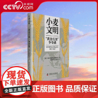[央视网]小麦文明 黄金石油 争夺战 揭示小麦在维护国家稳定和国际关系中的重要作用 努力将小麦继续塑造为和平的象征 ZK