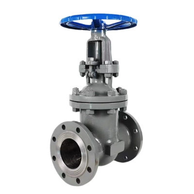 中锦科技 铸钢法兰闸阀 Z41-16C DN150 台