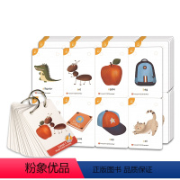 自然拼读卡片 1级别 [正版]麦凯思图书原版进口88元选两件培生3000词Picture Dictionary幼儿Pla