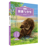 [M]动物小说大王沈石溪精品集(注音版)·狼獾与少年-9787539799735