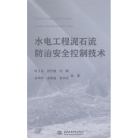 音像水电工程泥石流防治安全控制技术陈卫东,彭仕雄,付峥 等