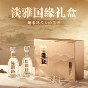 今世缘 国缘淡雅42度500ml*2瓶礼盒装 浓香型高档白酒节日送礼走亲访友优选白酒
