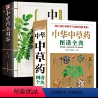 [正版]全2册 全图鉴中华中草药图谱全典彩图大全书+中草药全图鉴 中国中草药实用指南中医学草药书本草纲目千金方汤头歌诀